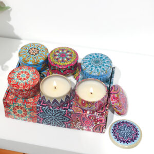Festival 2.2oz Iron Scented Candle